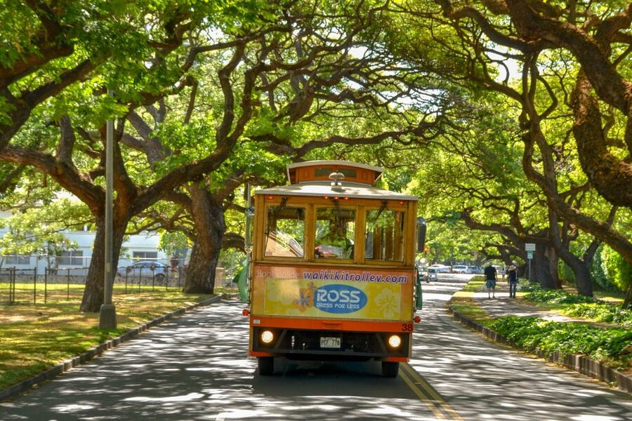 Oahu: Waikiki Trolley Hop-on Hop-off All-Line Pass - The drivers are part of the experience
