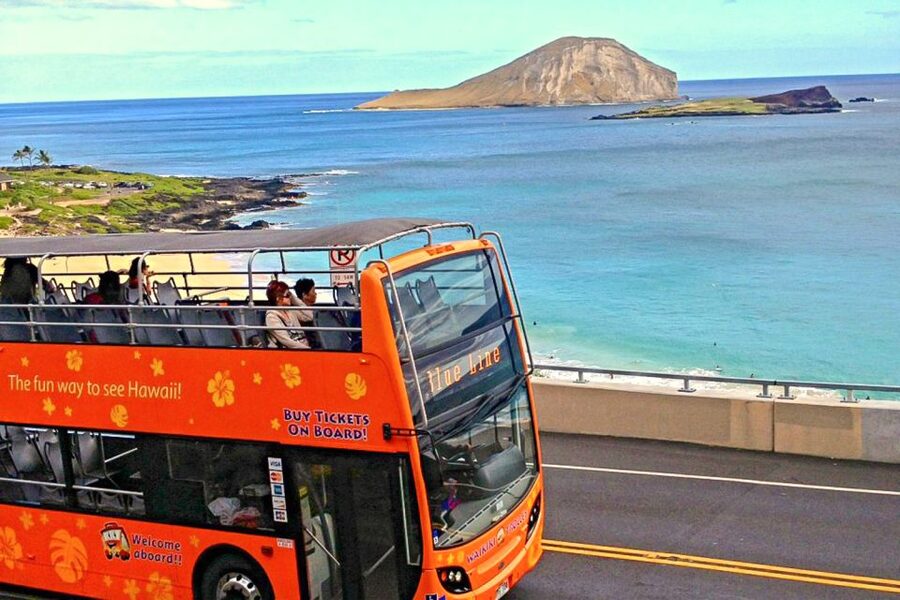 Oahu: Waikiki Trolley Hop-on Hop-off All-Line Pass - Comfort, access, and the practical limits