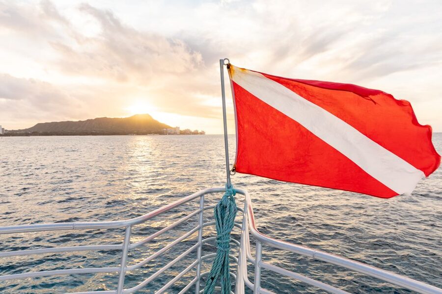 Oahu: Waikiki Turtle Canyons Cruise and Snorkel Excursion - A calm start for first-time snorkelers