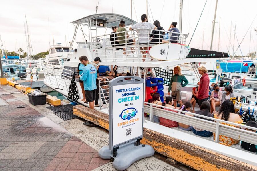 Oahu: Waikiki Turtle Canyons Cruise and Snorkel Excursion - Safety support that helps beginners