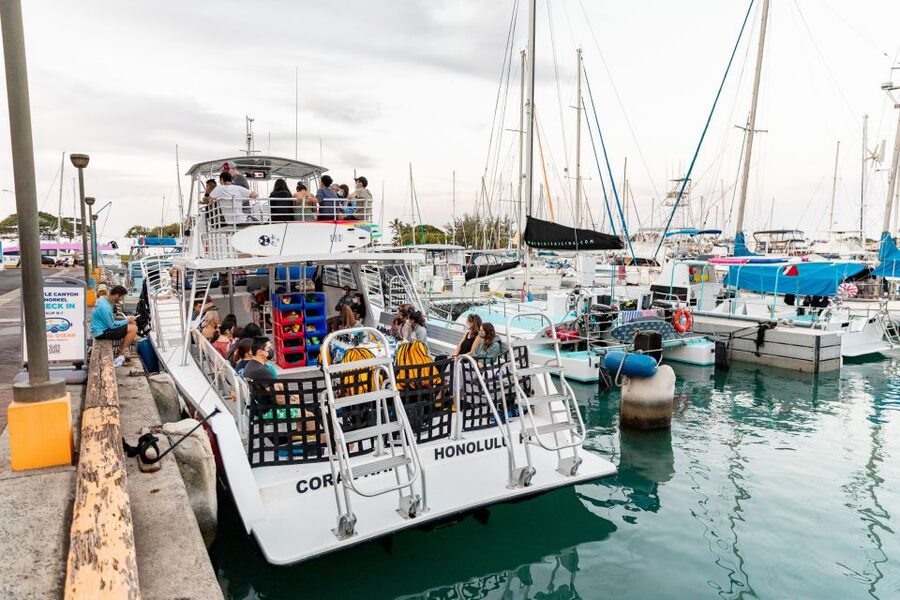 Oahu: Waikiki Turtle Canyons Cruise and Snorkel Excursion - The boat ride, snacks, and small comforts