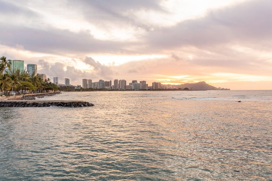 Oahu: Waikiki Turtle Canyons Cruise and Snorkel Excursion - Who will enjoy this outing most