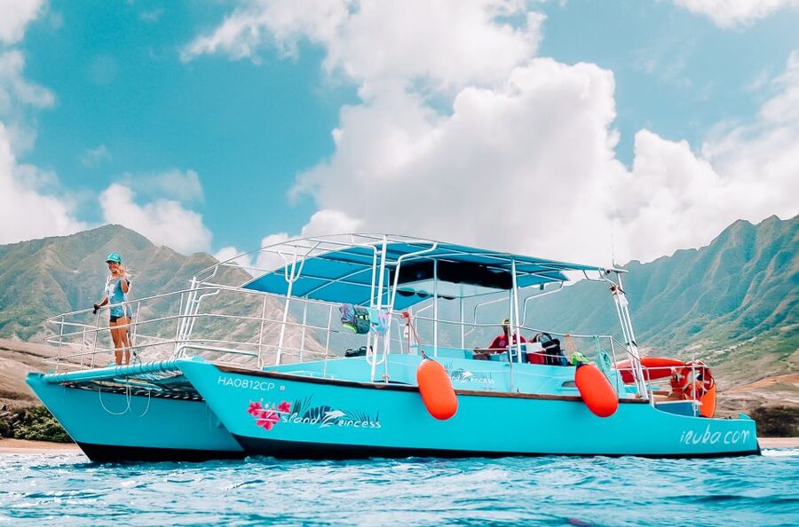 Oahu: Waikiki Turtle Snorkeling Adventure - Snorkeling beside Hawaiian green sea turtles