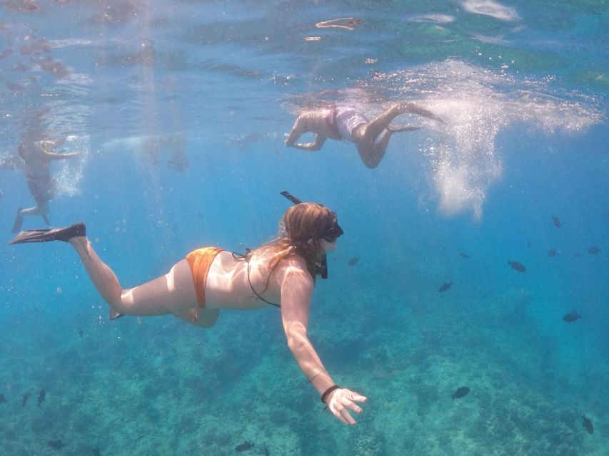 Oahu: Waikiki Turtle Snorkeling Adventure Cruise - Sailing out from Pink Sails Waikiki