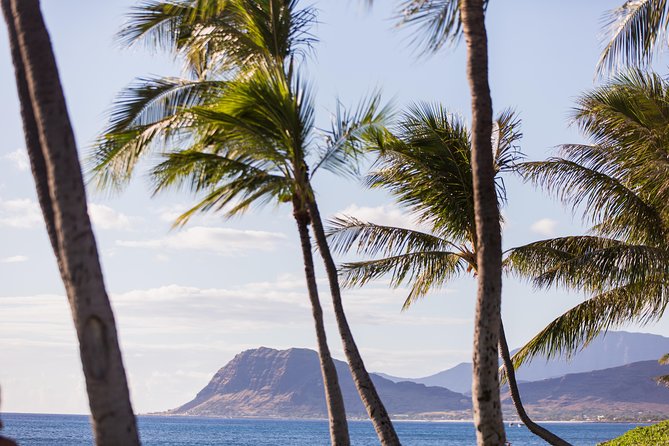 Paradise Cove Luau - Standard, Orchid, or Premium: which package is worth it?
