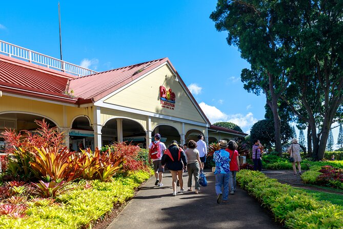 Premium Oahu Circle Island Tour – Small Group, No Crowds - Why this Oahu tour works for a first full day
