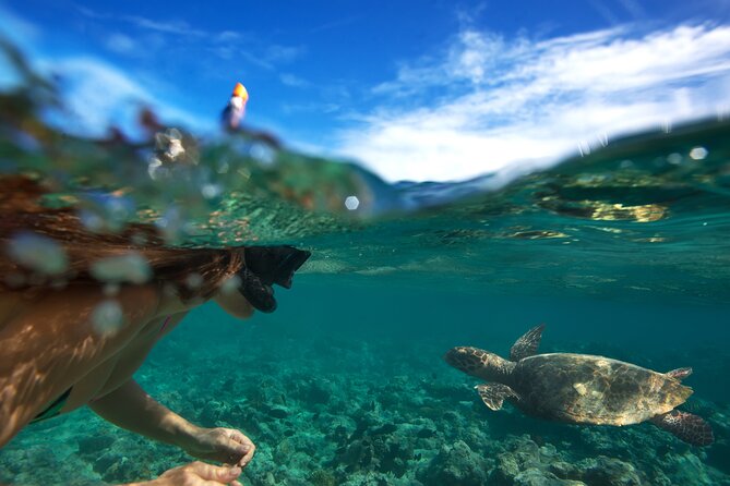 Premium Oahu Circle Island Tour – Small Group, No Crowds - Macadamia samples and the final ride
