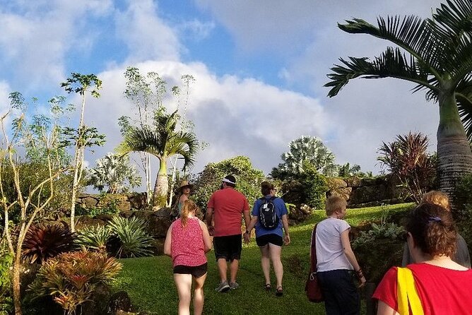 Princeville Botanical Gardens Tour and Chocolate Tasting Ticket - Upper terraces, useful plants, and tropical flowers