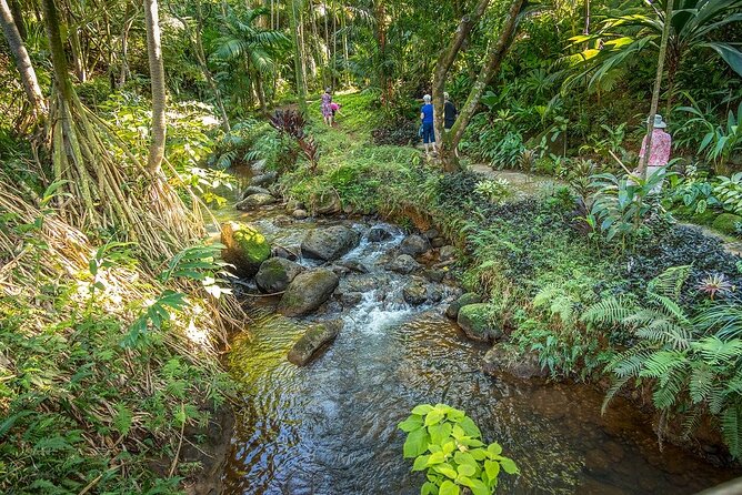 Princeville Botanical Gardens Tour and Chocolate Tasting Ticket - Fruit, honey, and the edible side of Kauai