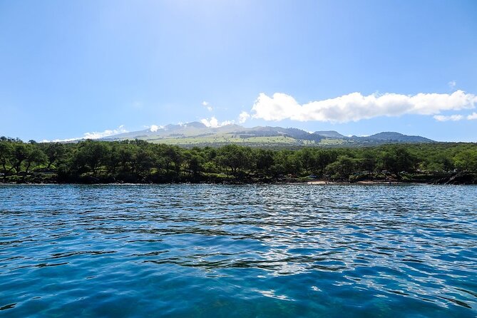Private Beginner Paddleboard Lesson with Snorkel in Turtle Town - Guides, local stories, and photographs