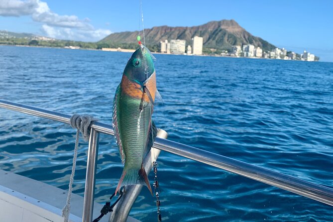 Private Fishing Charter for Family and Friends in Honolulu - Setting out from Kewalo Basin Harbor