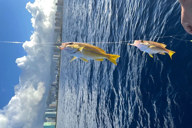 Private Fishing Charter for Family and Friends in Honolulu - What the private format changes