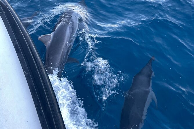 Private Fishing Charter for Family and Friends in Honolulu - The honest verdict on value