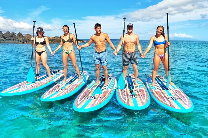 Private Stand Up Paddle Boarding Tour in Turtle Town, Maui - Wildlife sightings, with realistic expectations