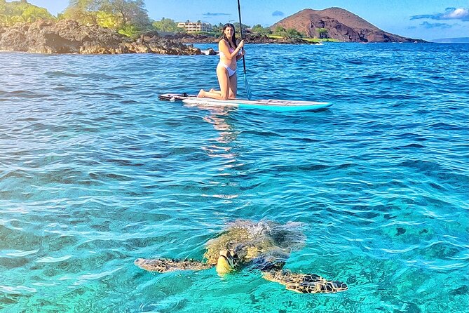 Private Stand Up Paddle Boarding Tour in Turtle Town, Maui - Who will enjoy this tour most