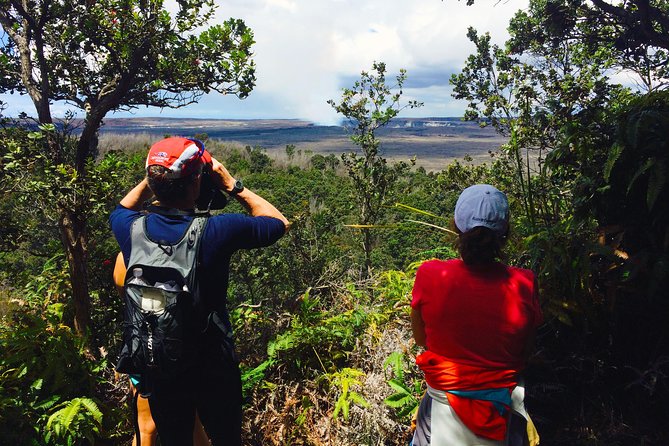 Private Tour: Hawaii Volcanoes National Park Eco Tour - Starting at Volcano House and the summit rim