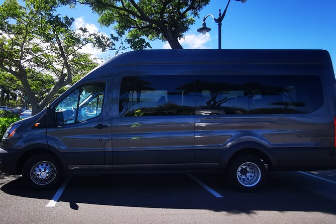 Private Transfer From Kona International Airport to Hotels in Waikoloa & Waimea - The ride to Waikoloa or Waimea