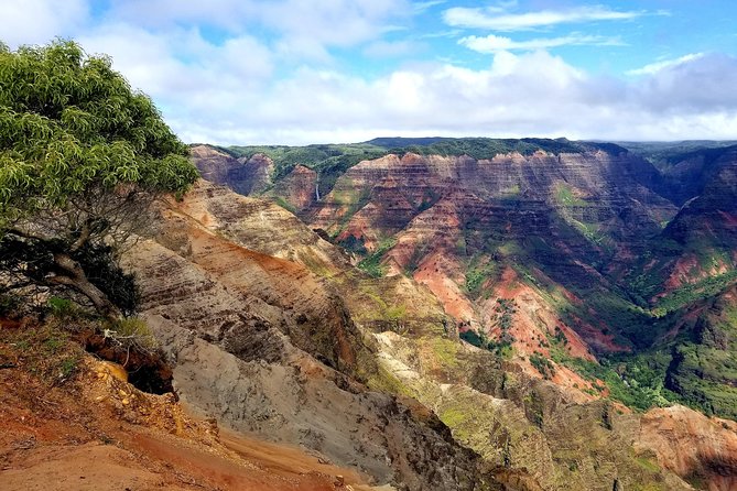 Private Waimea Canyon Tour - Three viewpoints inside Waimea Canyon State Park