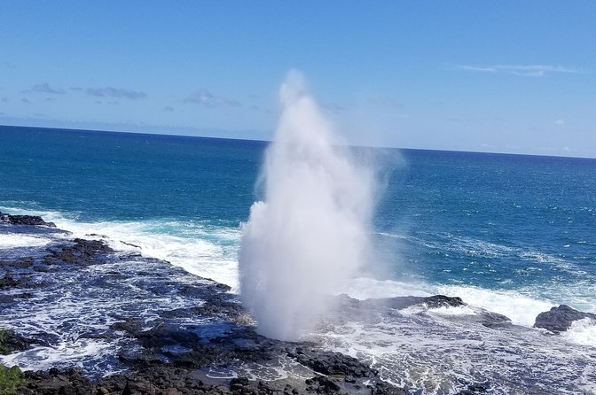 Private Waimea Canyon Tour - Lunch, small towns, and possible extras