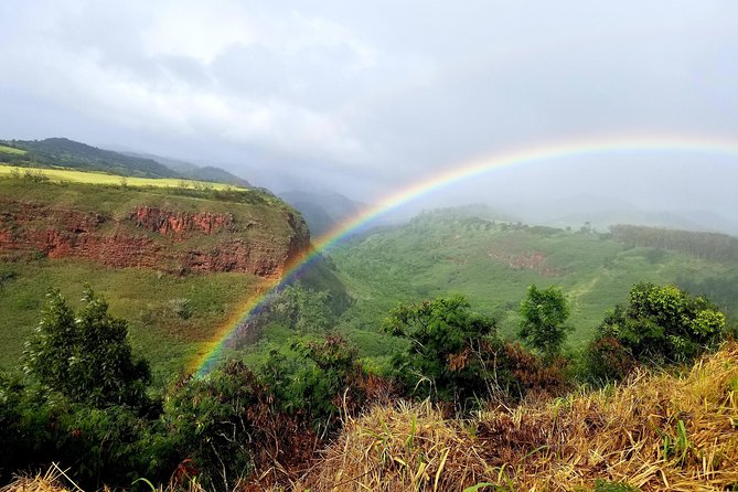 Private Waimea Canyon Tour - Starting at Poipu Beach with a wildlife watch