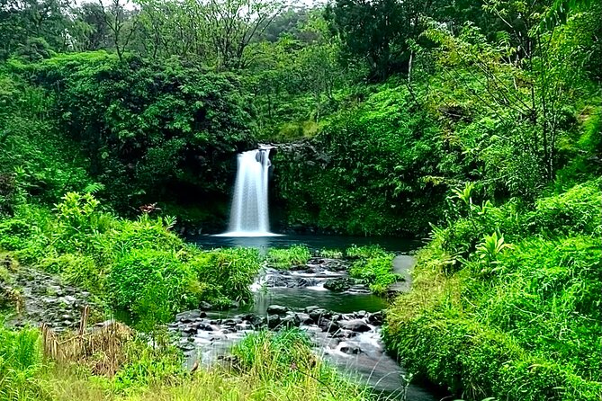 Rainforest Tour to Hana and Beyond - Banana bread at Halfway to Hana