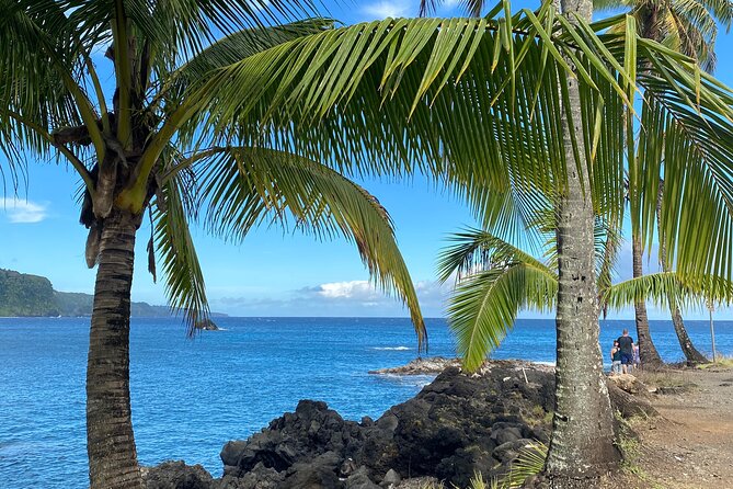 Rainforest Tour to Hana and Beyond - Wailua Valley and the black-sand coast