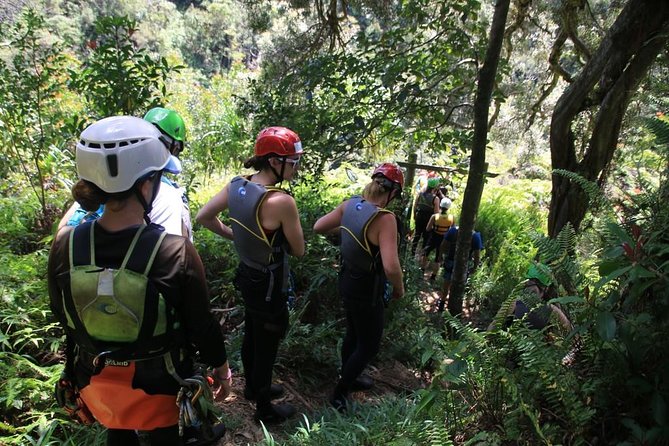 Rappel Maui Waterfalls and Rainforest Cliffs - Learning to rappel, one step at a time
