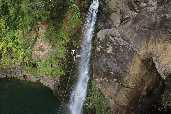 Rappel Maui Waterfalls and Rainforest Cliffs - From Haiku to the Hana Highway