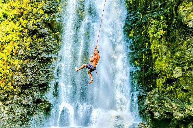 Road To Hana Black Sand Beach Waterfalls & Turtles Tour - Wai’anapanapa is the day’s main attraction