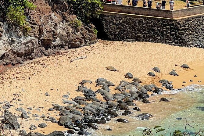 Road To Hana Black Sand Beach Waterfalls & Turtles Tour - Wailua Valley offers a quick view, not a full hike