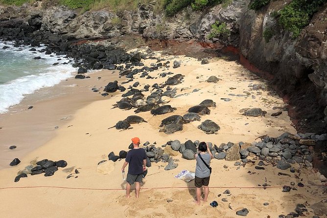 Road to Hana: Full-Day Scenic Drive with Blacksand & Waterfalls - Viewpoints, rainbow eucalyptus, and Hana country