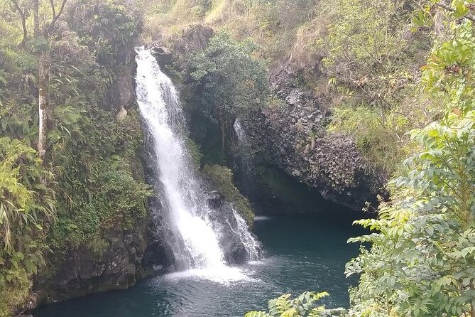 Road To Hana: Maui Waterfall Hiking Tour in Private Jeep - What Alec adds to the experience