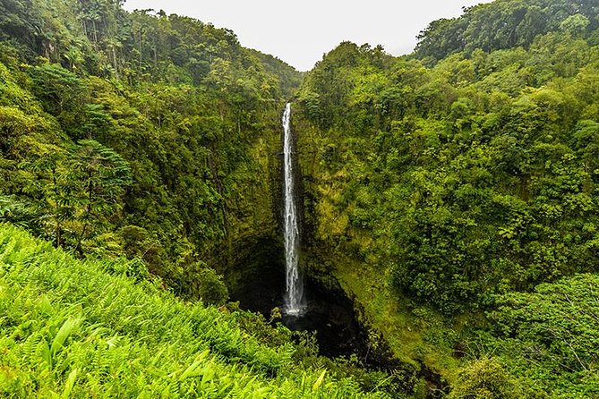 Road To Hana: Maui Waterfall Hiking Tour in Private Jeep - Black sand, sea turtles, and other route surprises