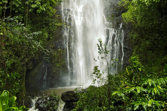 Road to Hana Tour with Lunch and Pickup - Wai‘anapanapa State Park is the main stop