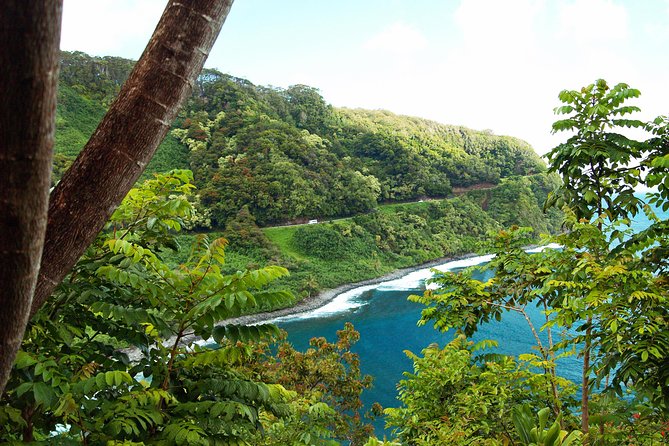 Road to Hana Tour with Lunch and Pickup - Pua‘a Ka‘a offers a cold freshwater swim