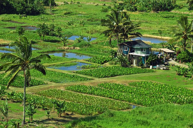 Road to Hana Tour with Lunch and Pickup - The road itself is the main attraction