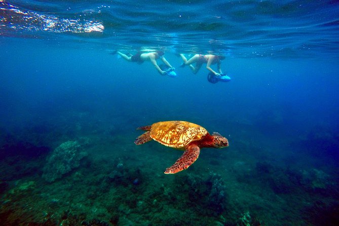Sea Scooter Snorkeling Tour with GoPro - Wailea Beach - Starting at Wailea Beach and preparing for the water