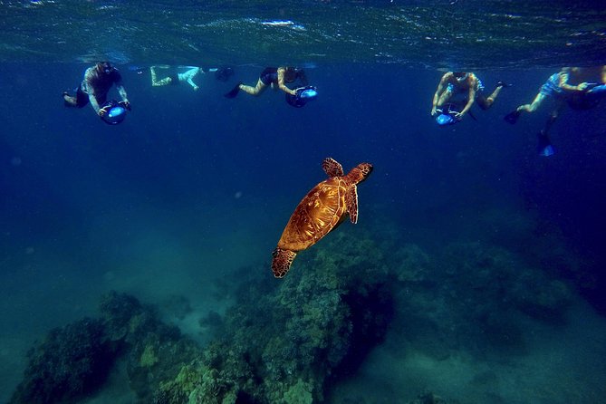 Sea Scooter Snorkeling Tour with GoPro - Wailea Beach - Choosing between the 8 a.m. and 9:10 a.m. departures