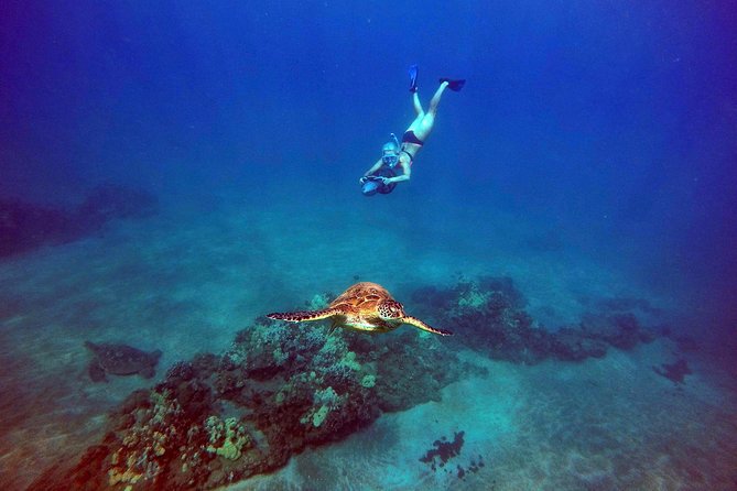 Sea Scooter Snorkeling Tour with GoPro - Wailea Beach - The value of a $149 snorkeling tour