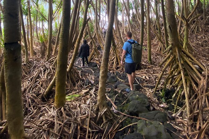 Secret Tide Pool Hike - Jungle & Coast - Private - A wild coastal outing near Pāhoa