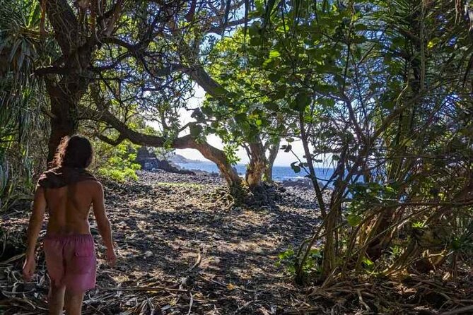 Secret Tide Pool Hike - Jungle & Coast - Private - The tide pool is the reward, but conditions rule