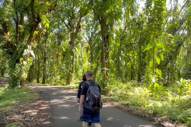 Secret Tide Pool Hike - Jungle & Coast - Private - A private guide can improve the experience