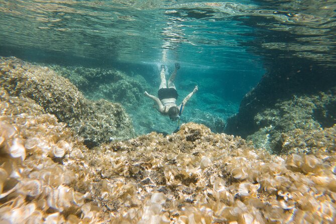 Secret Tide Pool Hike - Jungle & Coast - Private - Is $100 per person a fair price?