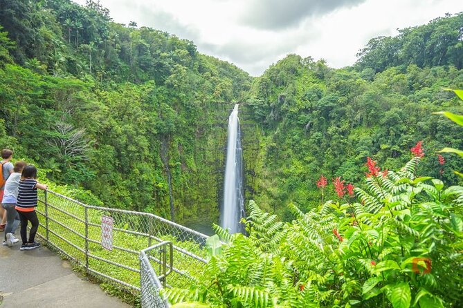Self-Guided Audio Driving Tour in Big Island - The Hamakua Coast and Akaka Falls