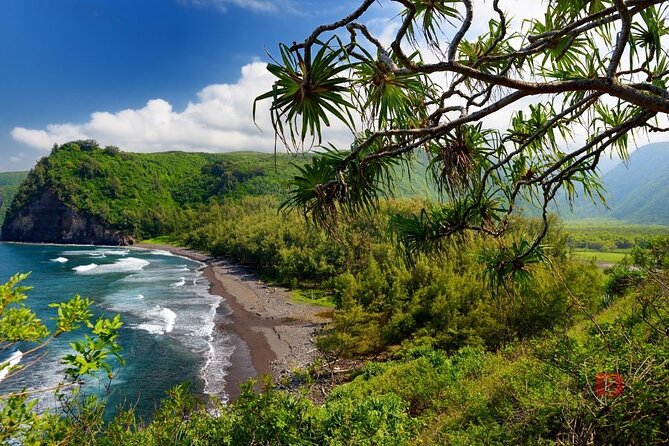 Self-Guided Audio Driving Tour in Big Island - Kohala, Hawi, and Pololu Valley