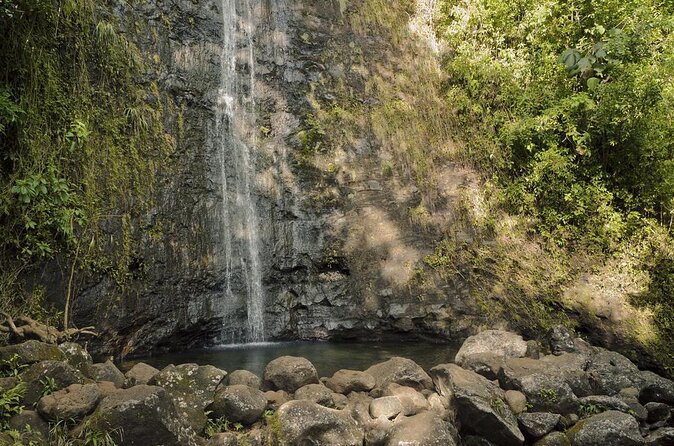 Self guided Hike Trail to Nature Walk & Waterfall - Key points to know before you book