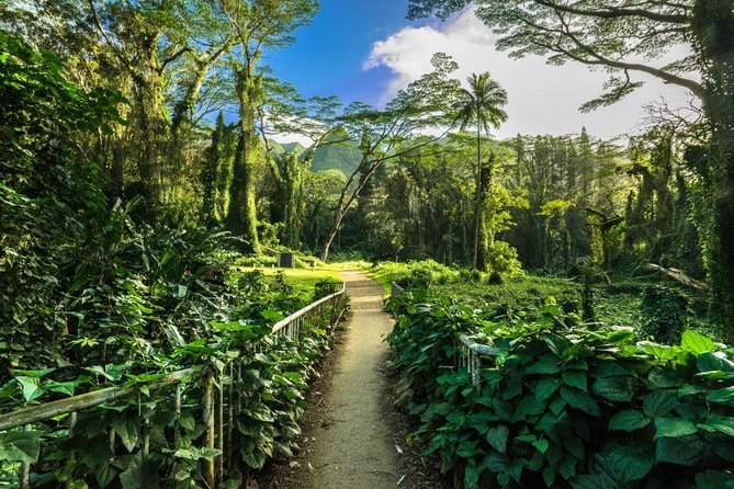 Self guided Hike Trail to Nature Walk & Waterfall - What this three-hour Oahu outing is really like