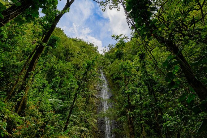 Self guided Hike Trail to Nature Walk & Waterfall - Why the guide can make the difference
