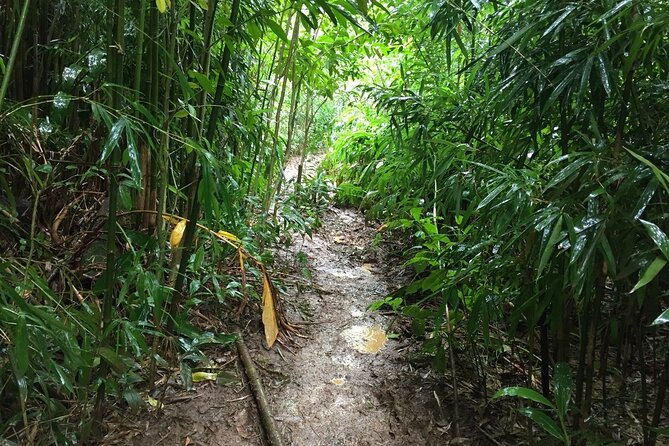 Self guided Hike Trail to Nature Walk & Waterfall - Puʻu ʻUalakaʻa State Park and the promised city view