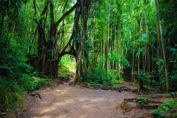 Self guided Hike Trail to Nature Walk & Waterfall - Is $79 a fair price?